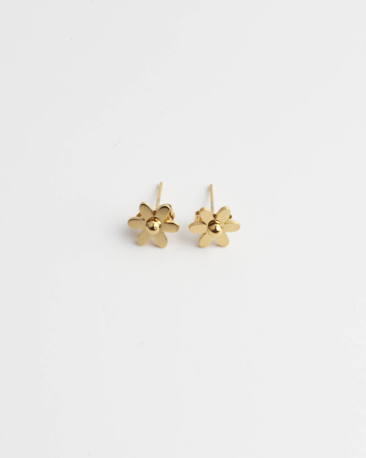 Fleur de marguerite - Boucle d'oreilles - Boucles d'oreilles - Acier inoxydable