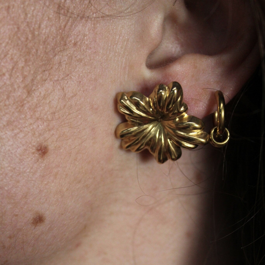 Winona - Boucles d'oreilles - Acier inoxydable